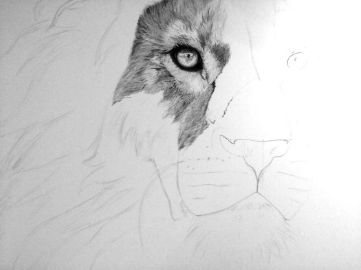 Lion WIP