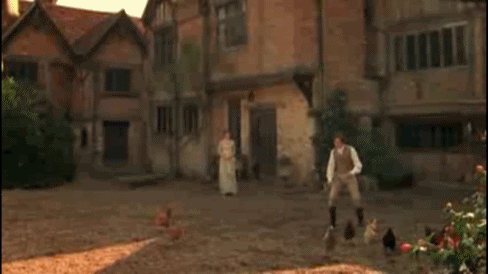 Image result for mr ferrars chasing chickens