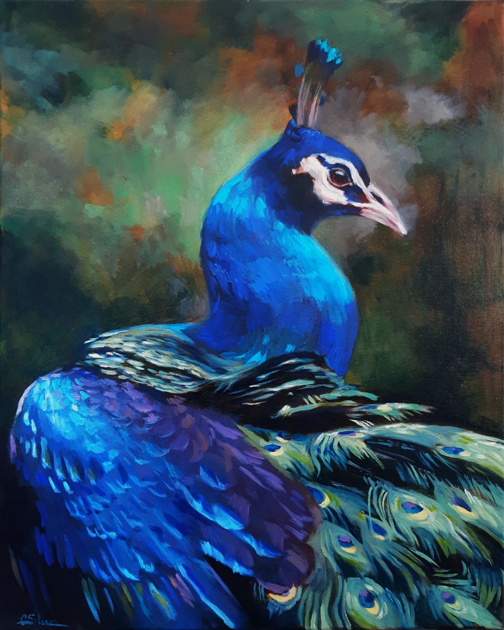 "Peacock" / Oil on Canvas